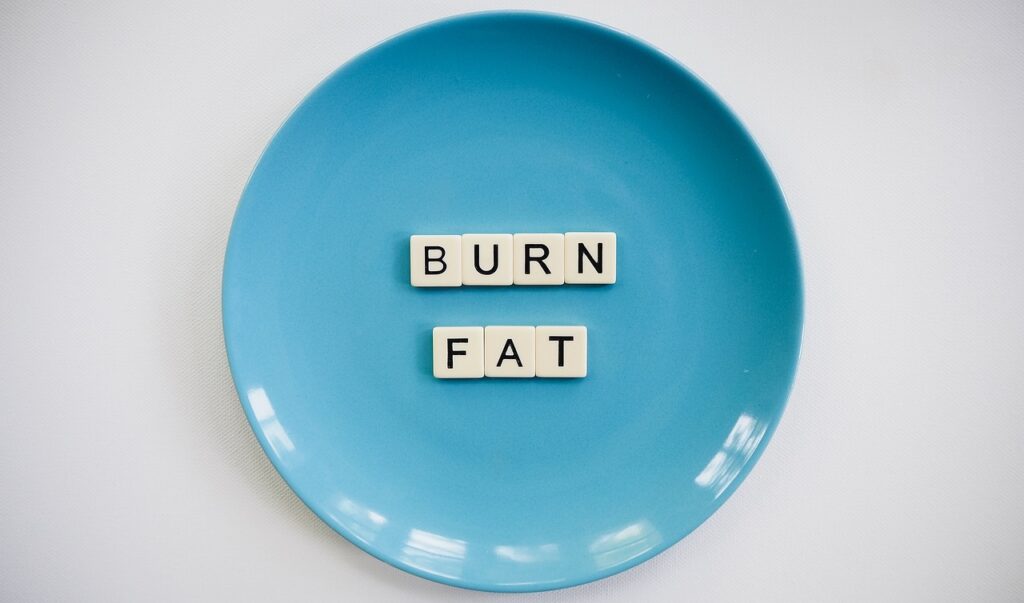 fat burning diets