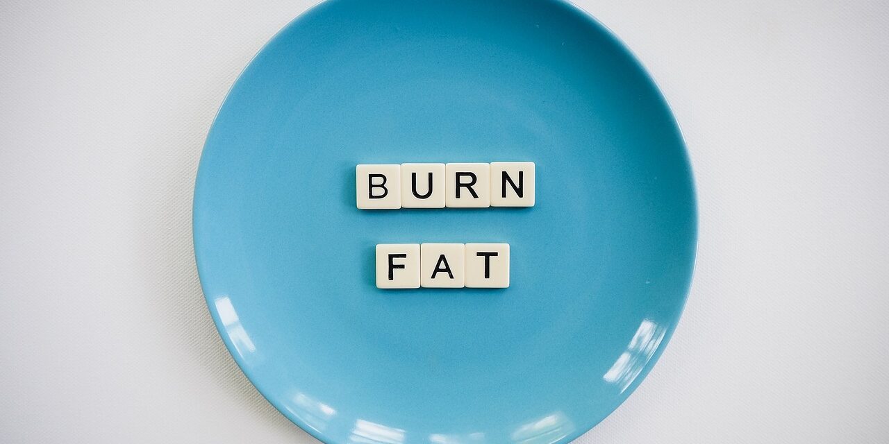 Fat Burning Diets: A Comprehensive Guide to Losing Weight Quickly and Safely