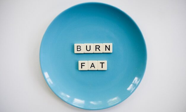 Fat Burning Diets: A Comprehensive Guide to Losing Weight Quickly and Safely