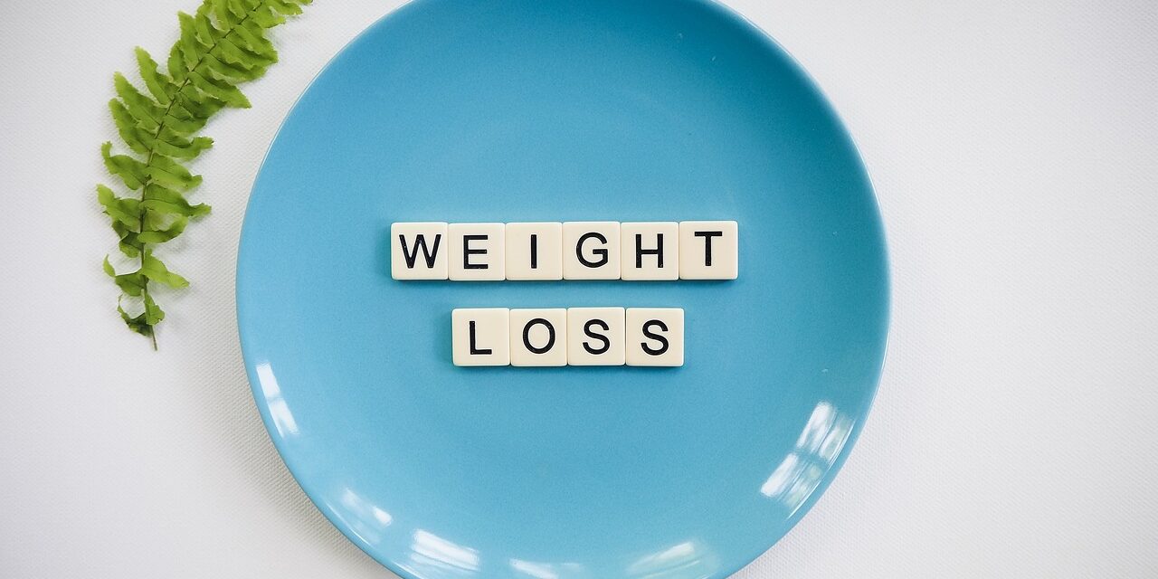 What Are the Components of a Successful Diet Weight Loss Plan?