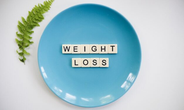 What Are the Components of a Successful Diet Weight Loss Plan?